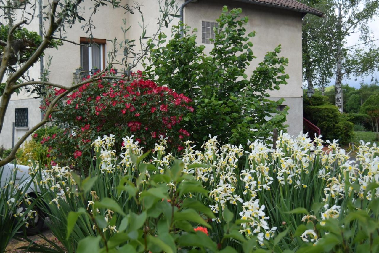 Le Nid De L'Ecureuil Bed and Breakfast Brens  Buitenkant foto